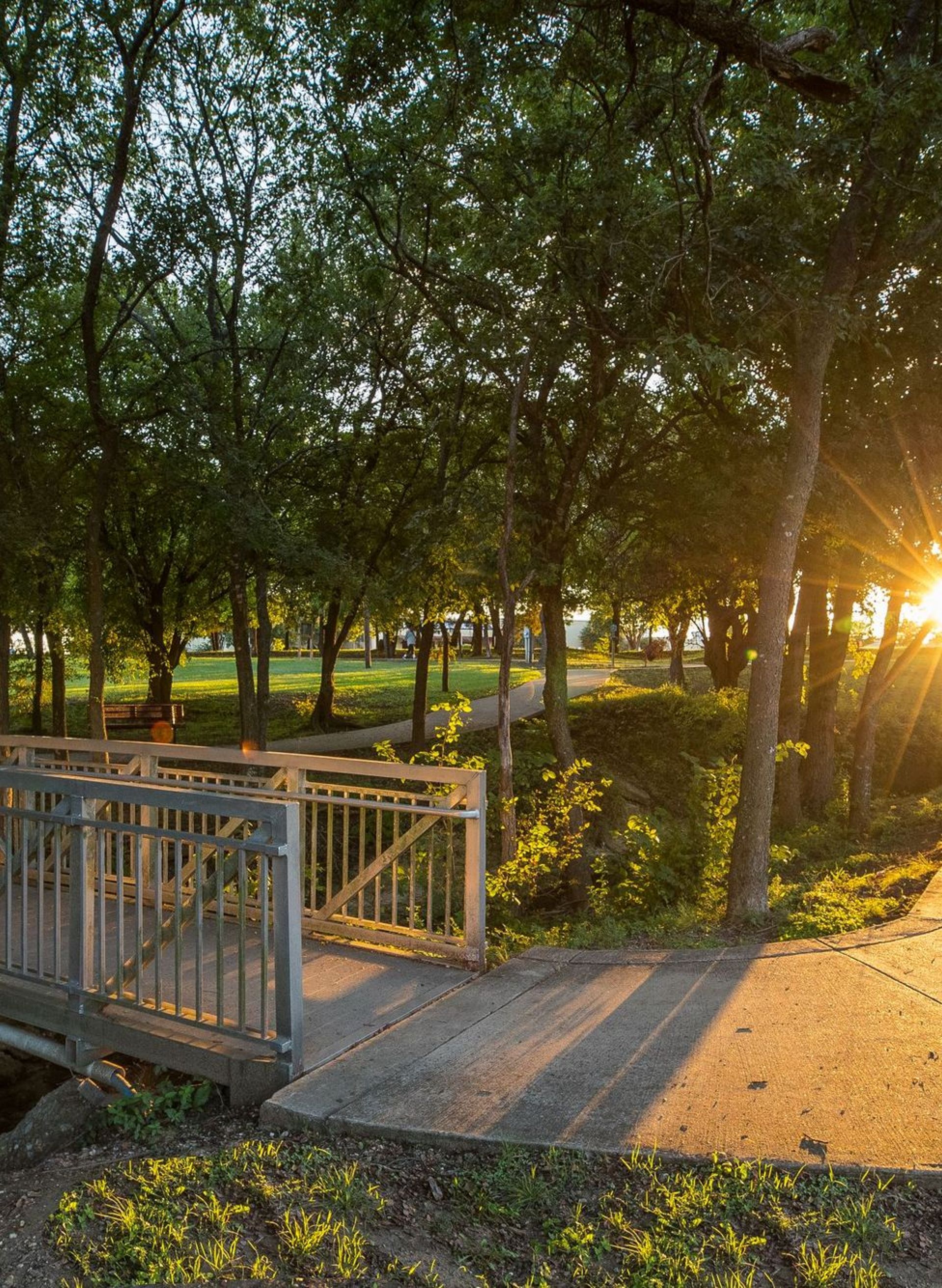 Bridge with sun peaking through the green trees