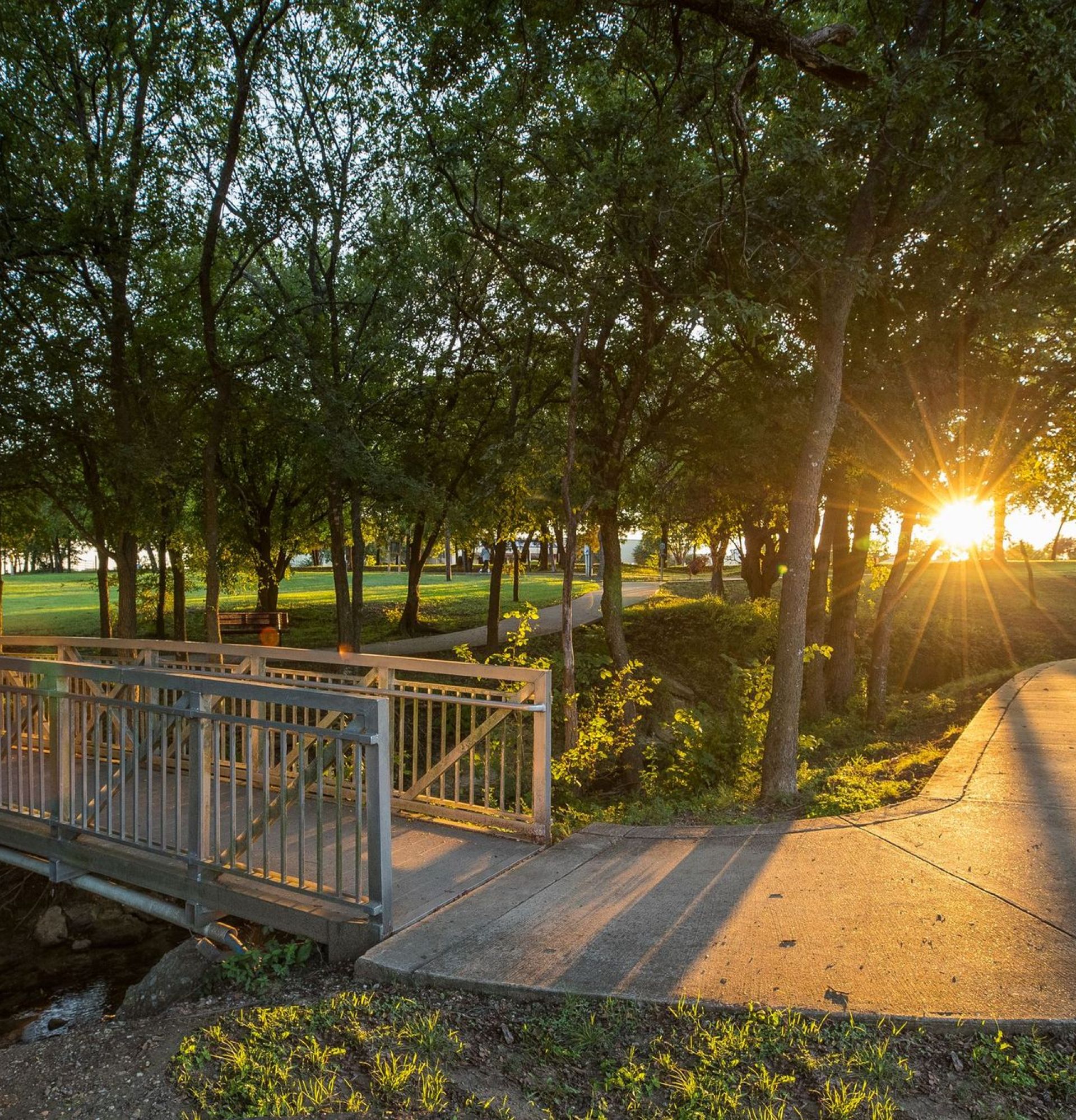 Small bridge with sunlight peaking through the trees